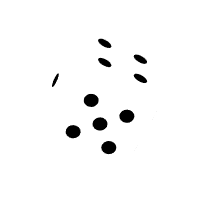 Joker Slot